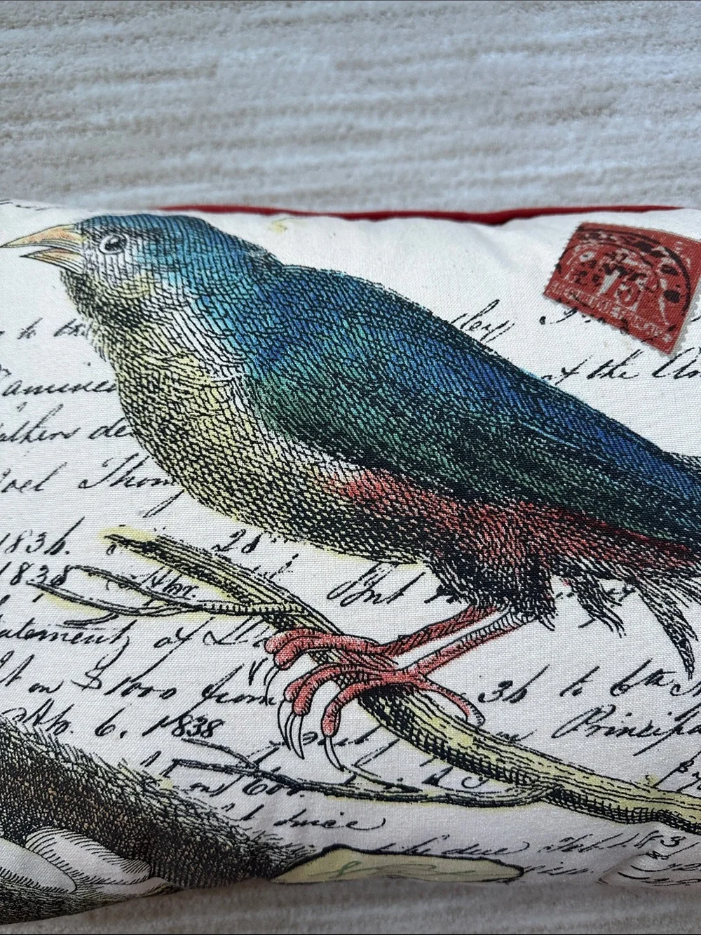 Newport Bird Nest Pillow Down Filled Zip Rectangle 15x20 French Country Cottage